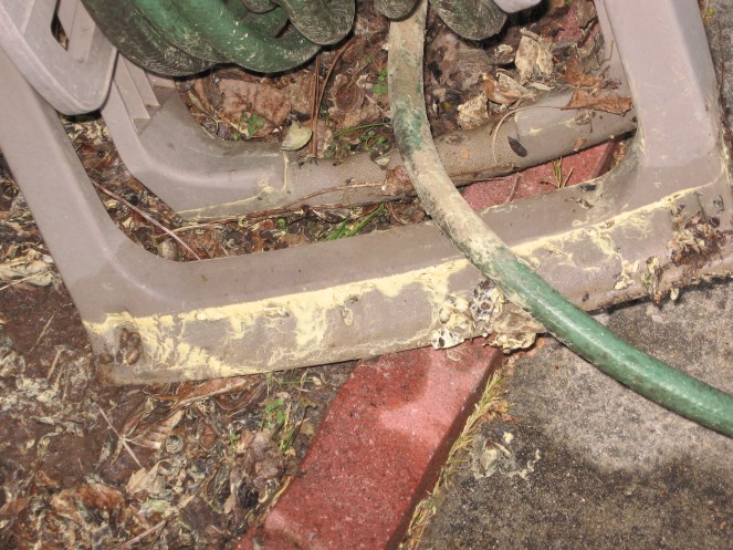 Pollen on the water hose