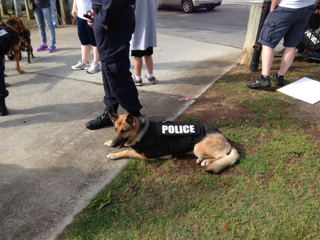 K-9 unit